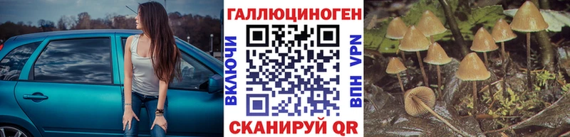 купить наркотик Константиновск МЕГА рабочий сайт Галлюциногенные грибы мицелий